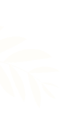 Silvermil Group
