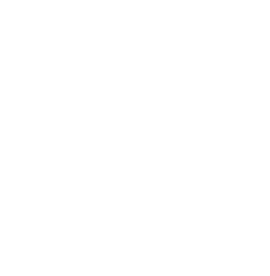 Silvermil Group